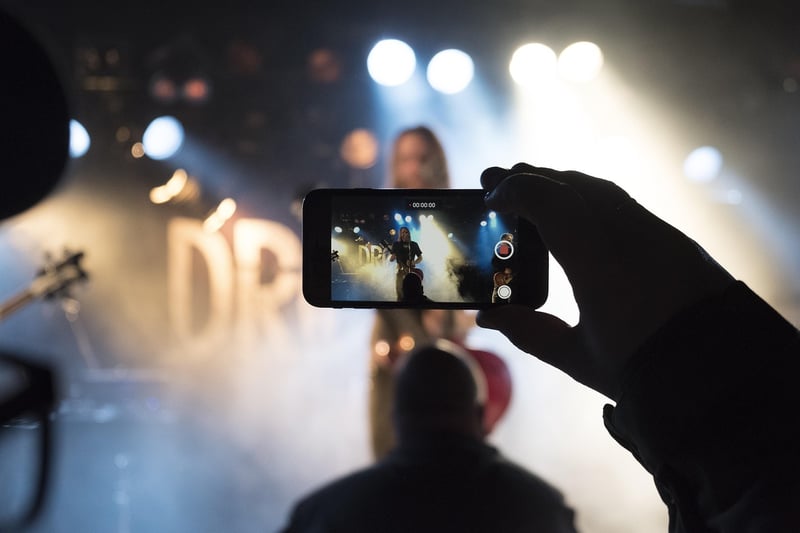 Fans at a music festival